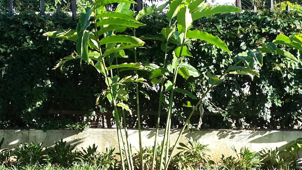 Marumadi Planeta Mocambique S. Vincente de Paulo ภายนอก รูปภาพ